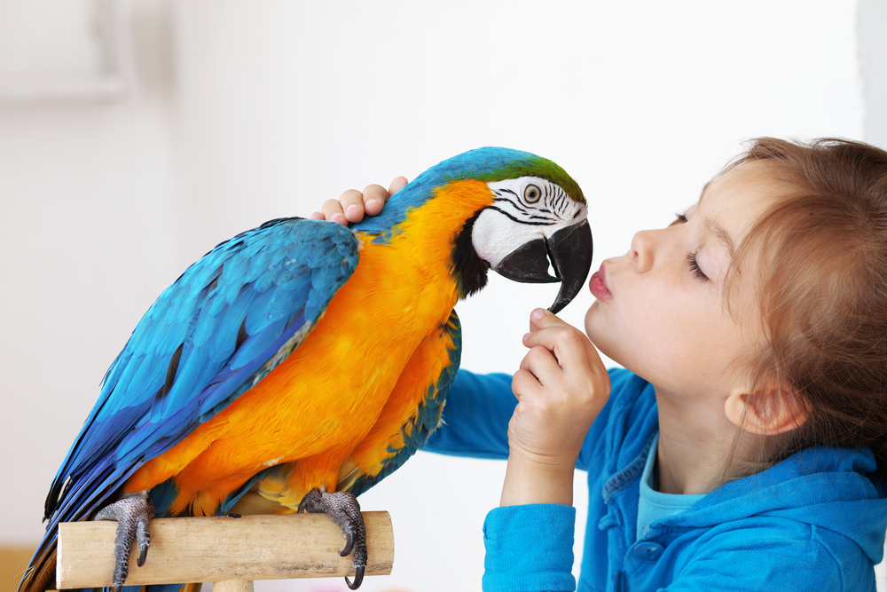 Veterinary Services for Exotic Pets